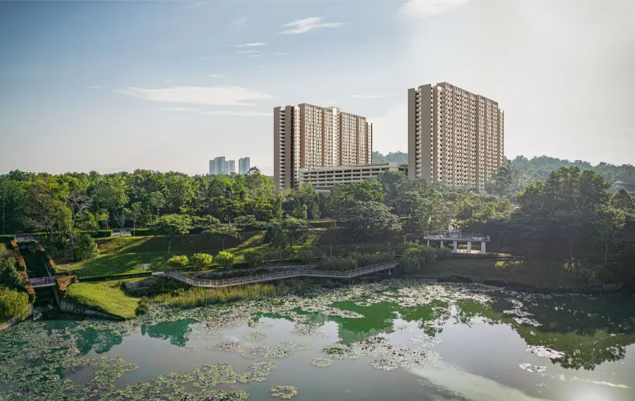 9-Caladia-Aerial-View-From-Oasis-Park